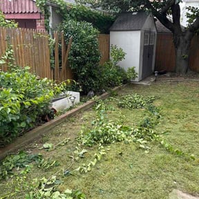 Bush Trimming by JP Lawncare reviewed on June 4, 2026