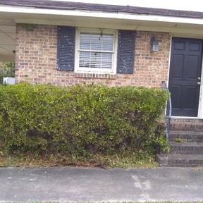 Bush Trimming by JHD landscaping reviewed on August 18, 2025