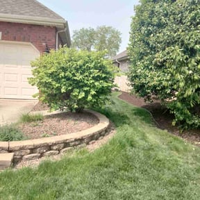 Bush Trimming by Mauler Mowing LLC reviewed on August 16, 2025