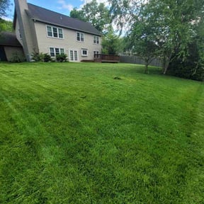 lawn care services by Gibson Property LLC reviewed on June 24, 2025
