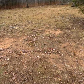 Leaf Removal by Trevor Hall reviewed on December 4, 2025