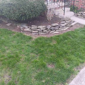 Leaf Removal by On Point Lawn Care reviewed on June 5, 2026