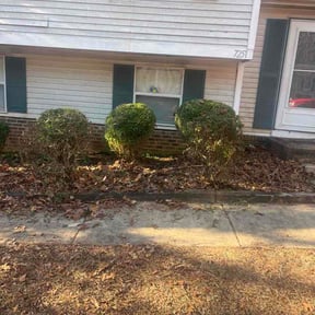 Bush Trimming by Larkin Lawn Care reviewed on June 6, 2026
