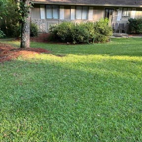 turf care by Kevin Rodgers reviewed on August 15, 2025