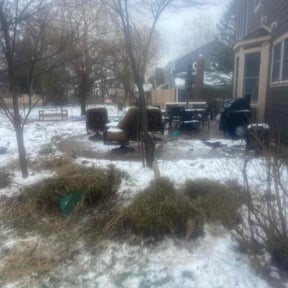 Bush Trimming by Lake house lawn and landscaping reviewed on December 2, 2025