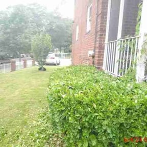 Bush Trimming by AMERICA'S BEST LAWN SERVICE LLC reviewed on August 19, 2025