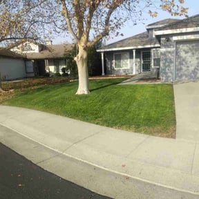 yard maintenance by Scott's Landscape and pool service reviewed on May 25, 2025