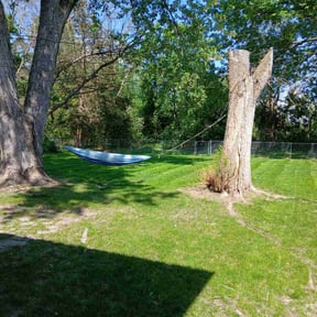landscape maintenance by Capital Green Landscaping & Lawn Care reviewed on August 16, 2025