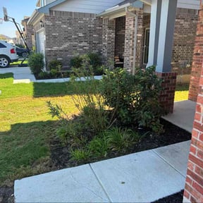 Bush Trimming by D&amp;D Lawn Care reviewed on November 5, 2025