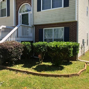 Bush Trimming by R&R lawn care reviewed on August 18, 2025