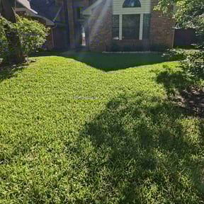 yard work by Lone Star Landscaping Group 2919 reviewed on December 18, 2025