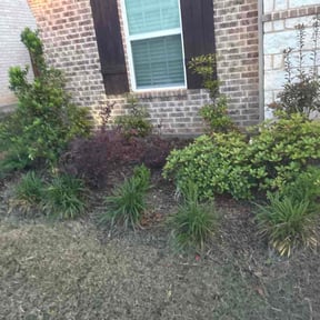 Flower Bed Weeding by Little Landscaping reviewed on April 28, 2026