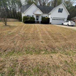 Flower Bed Weeding by Conner Meadows reviewed on March 22, 2026