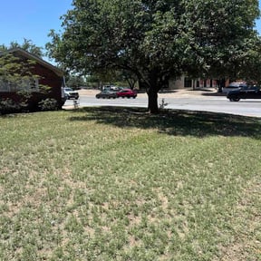 Flower Bed Weeding by Smiley's Landscaping LLC reviewed on June 14, 2026