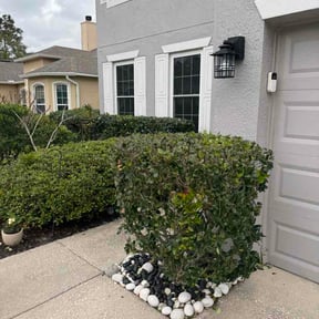 Bush Trimming by Weed, Mow, Blow &amp; go reviewed on March 29, 2026