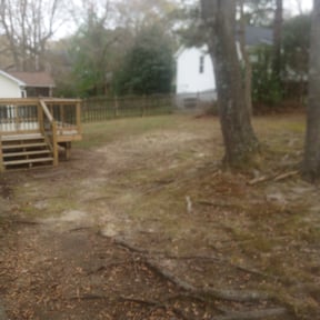 Leaf Removal by Lawnmore2 reviewed on September 13, 2026