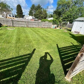 lawn care services by Keep it green reviewed on August 19, 2025