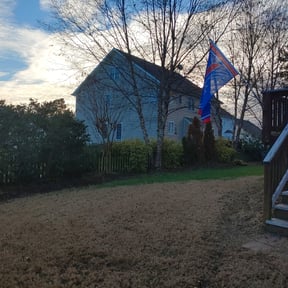 Bush Trimming by #1 And Done Lawn care reviewed on April 4, 2024