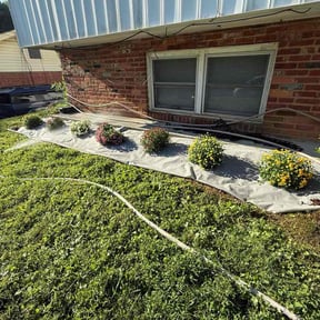 Flower Planting by  reviewed on July 20, 2025