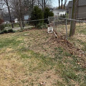 Leaf Removal by Needfulthingsdetroit@gmail.com reviewed on July 2, 2026