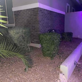 Bush Trimming by Jose Martinez Landscape Services reviewed on December 13, 2025