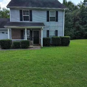 Bush Trimming by Real Deal Lawn Care LLC reviewed on August 13, 2025