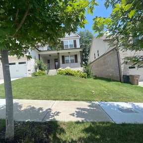 landscape maintenance by Rightway Lawn Care reviewed on November 20, 2025