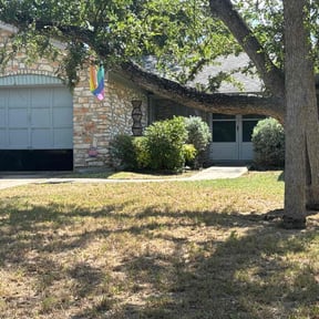 Bush Trimming by JBS inc reviewed on August 16, 2025