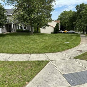 lawn maintenance by Reliable Maintenance Solutions reviewed on March 31, 2024