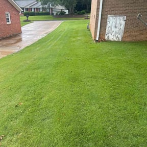 grass maintenance by David Rodriguez reviewed on August 21, 2025