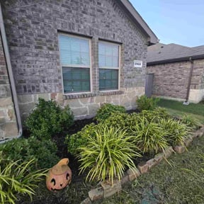 grass maintenance by Bo&#039;s lawn care reviewed on August 22, 2023