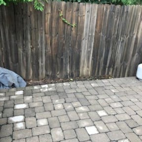 Flower Bed Weeding by Yard ReZcue LLC reviewed on August 19, 2025