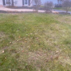 Leaf Removal by TruGreen LawnCare reviewed on July 26, 2026