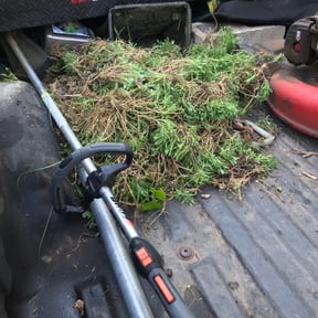 Flower Bed Weeding by Jayes Lawn Adventures reviewed on August 19, 2025