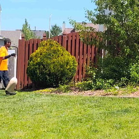 Bush Trimming by Nina construction reviewed on June 1, 2026