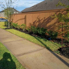 Bush Trimming by BioWash Services reviewed on October 21, 2025