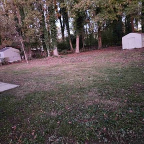 Bush Trimming by AC LAWN CARE SERVICES LLC reviewed on August 18, 2025