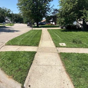 lawn service by ALL PRO LLC reviewed on May 8, 2025