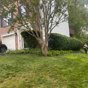 Bush Trimming by HaydenHill Lawncare LLC reviewed on May 23, 2026