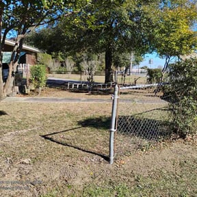 Bush Trimming by General Lawn Care / Ladybugs Landscaping reviewed on February 4, 2026