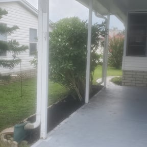 Bush Trimming by Kenny's Nice -N- Neat lawn servers reviewed on November 30, 2025