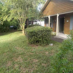 Bush Trimming by M & F Landscaping Services LLC reviewed on August 18, 2025