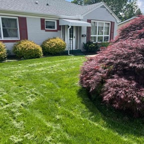 Long Grass Cleanup by Bello Landscape LLC reviewed on April 21, 2024