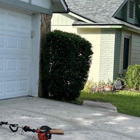 Bush Trimming by Randy Young Jr aka Mow Man reviewed on November 10, 2025