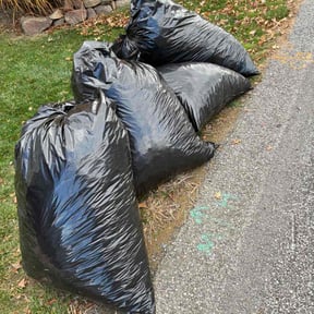 Leaf Removal by ZKZ Landscape &amp; Design reviewed on November 20, 2025