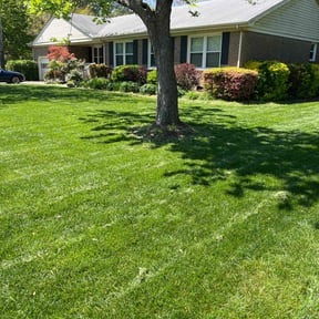 landscape maintenance by Woods lawn care reviewed on August 20, 2025