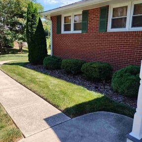 Bush Trimming by Lawn Care reviewed on May 9, 2024