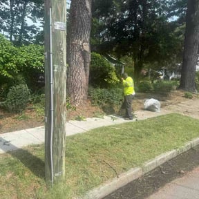 Bush Trimming by Just Right Lawns reviewed on July 9, 2026