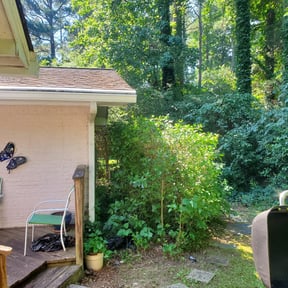 Bush Trimming by E&amp;D Property Solutions reviewed on October 23, 2022