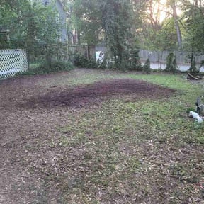 Leaf Removal by Carolawna reviewed on August 17, 2026